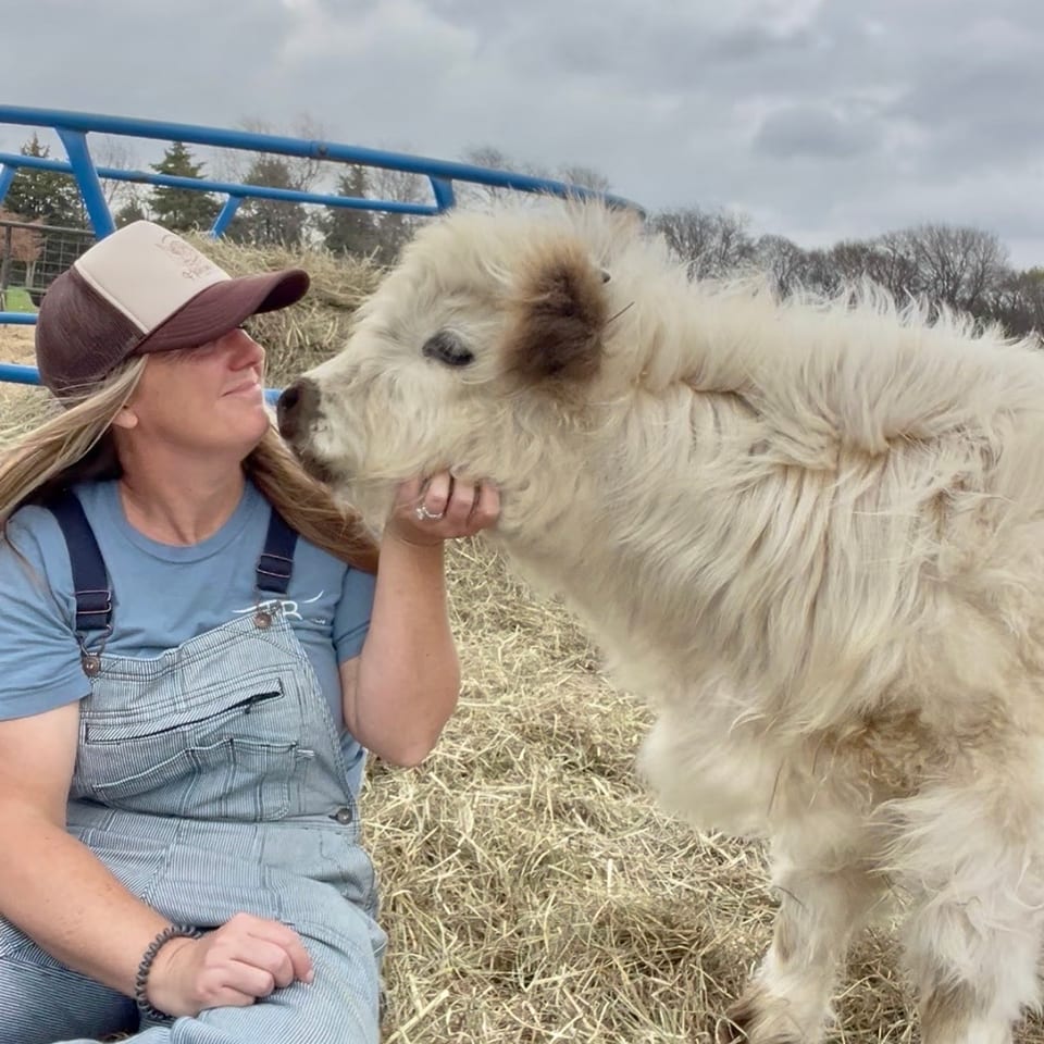 Cows & Coffee