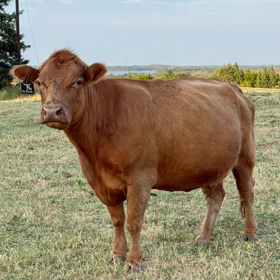 Big Momma